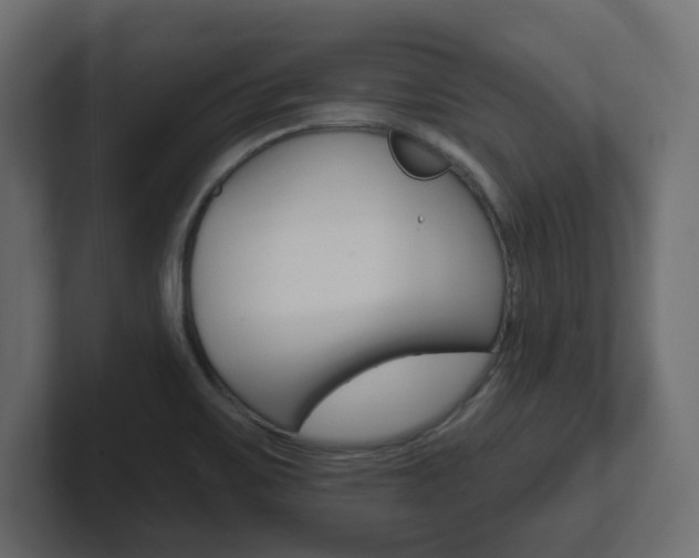 X0000101231467200806270935