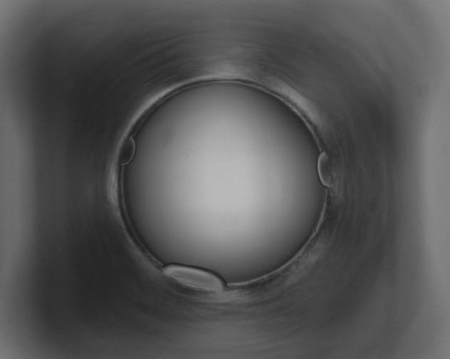 X0000101231468200806270935
