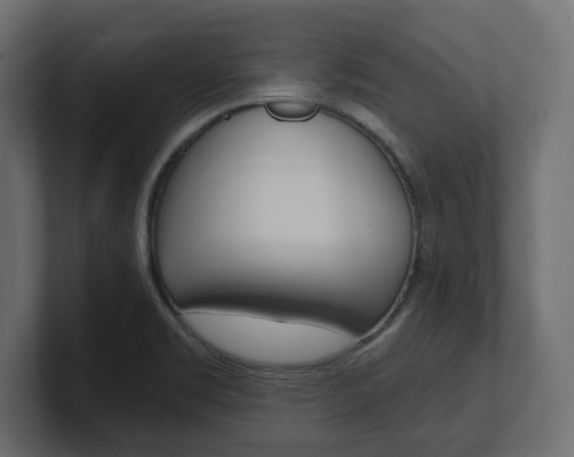 X0000101231469200806270935