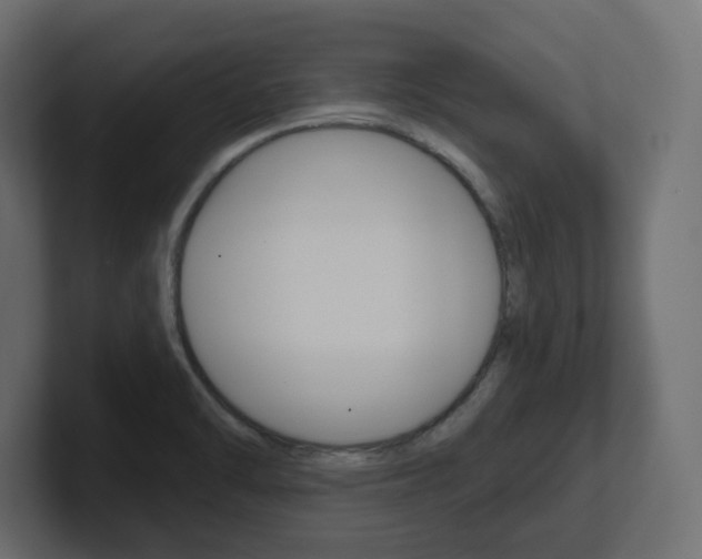 X0000101231470200806270935