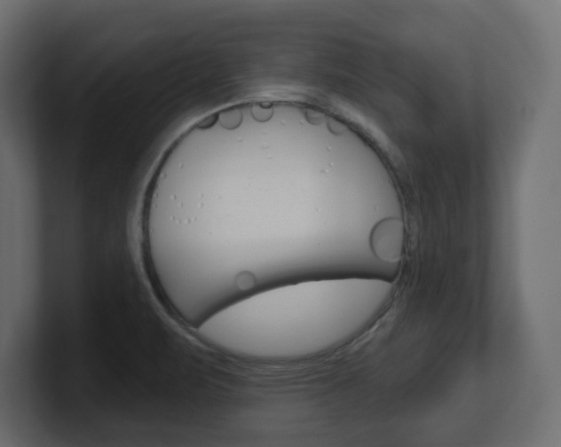 X0000101231471200806270935