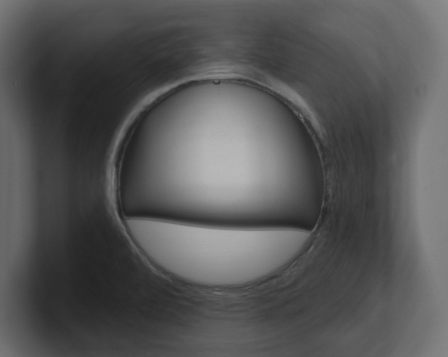 X0000101231472200806270935