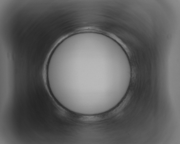 X0000101231474200806270935