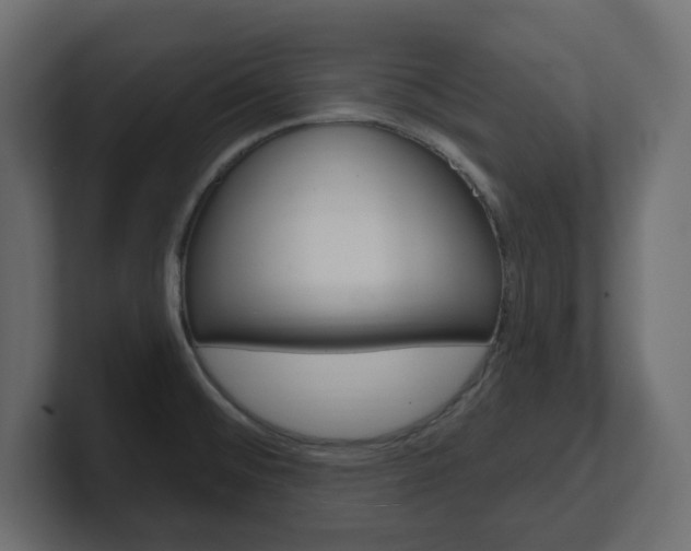 X0000101231476200806270935