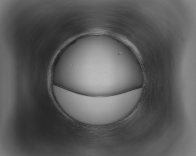 X0000101231477200806270935