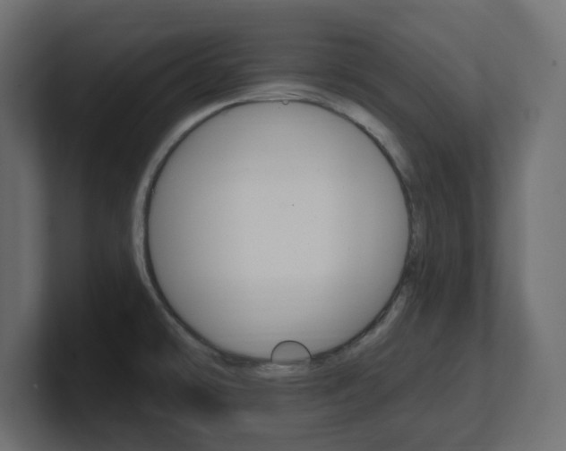 X0000101231478200806270935