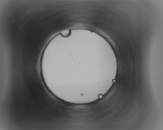 X0000101231479200806270935
