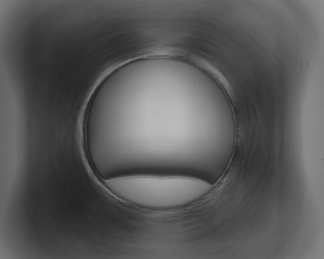 X0000101231483200806270935