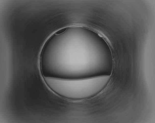 X0000101231484200806270935