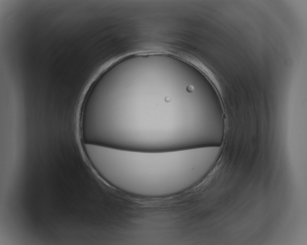X0000101231485200806270935