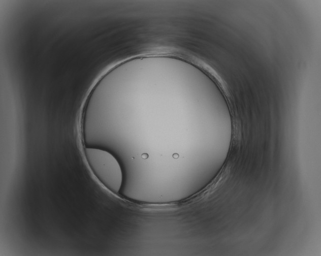 X0000101231487200806270935