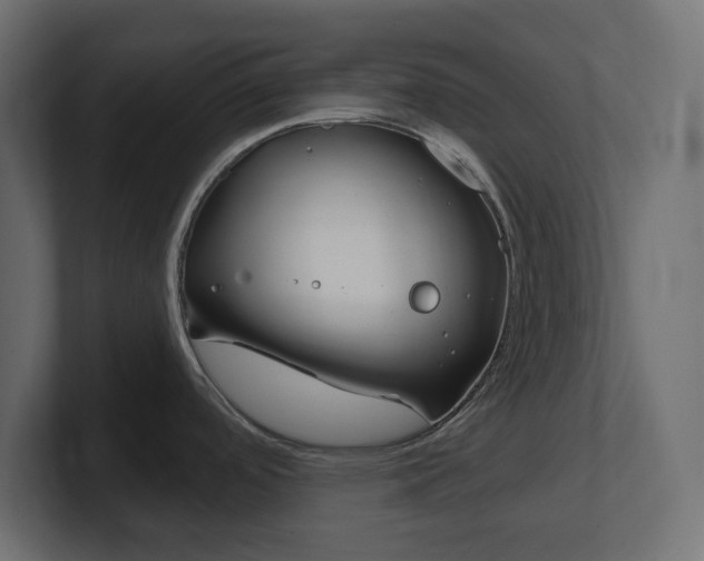 X0000101231488200806270935