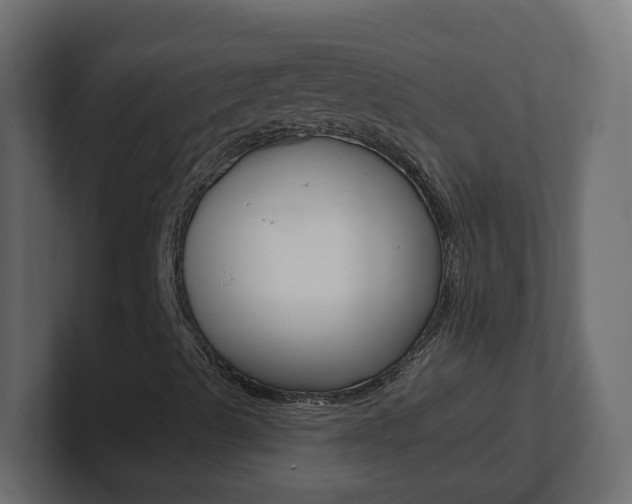 X0000101231489200806270934