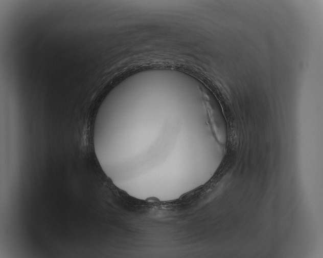 X0000101231490200806270934