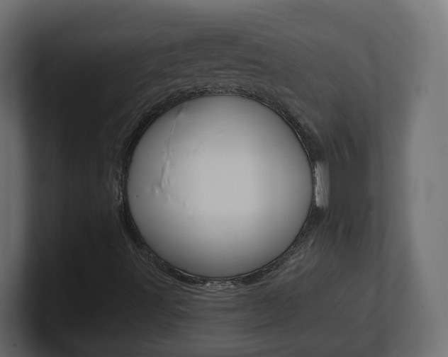 X0000101231491200806270934