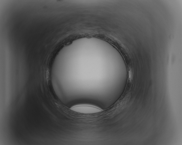 X0000101231492200806270934