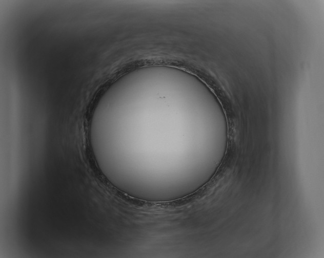 X0000101231493200806270934
