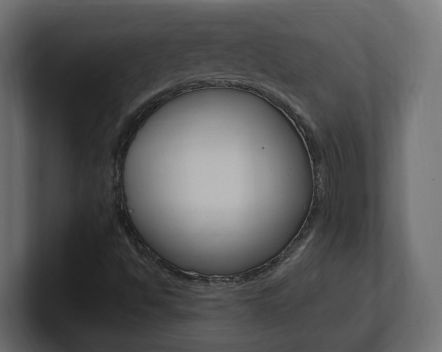 X0000101231494200806270934