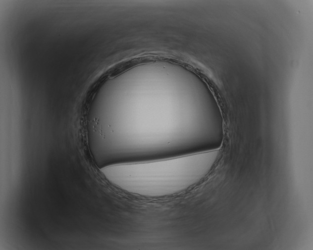 X0000101231496200806270934