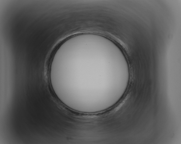 X0000101231498200806270934