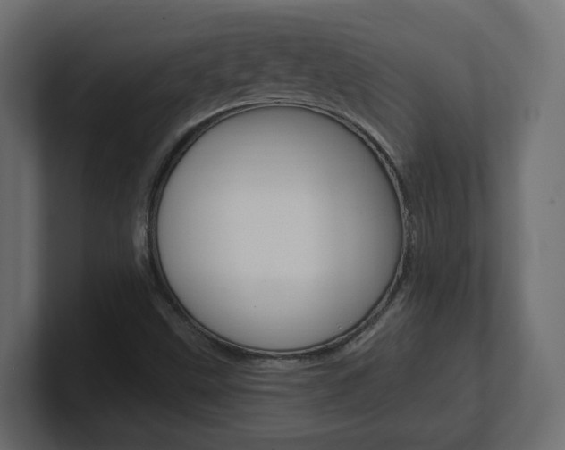 X0000101231499200806270934