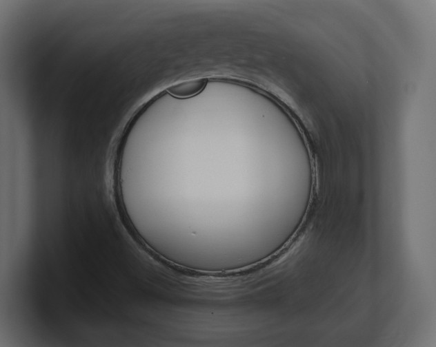 X0000101231500200806270934