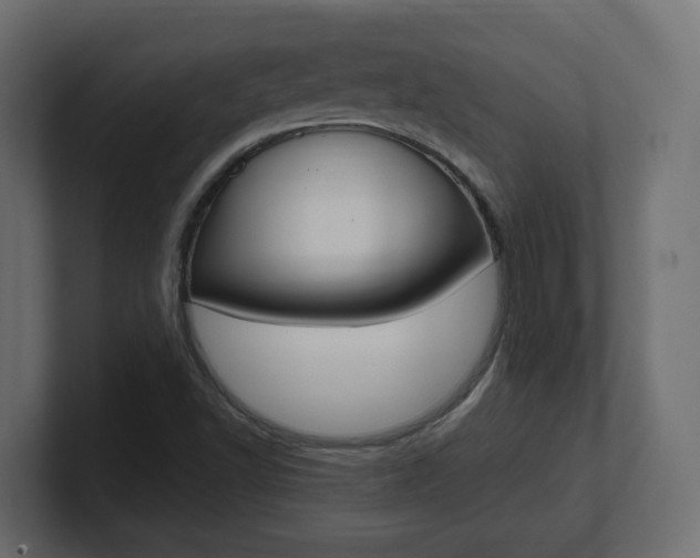 X0000101231502200806270934