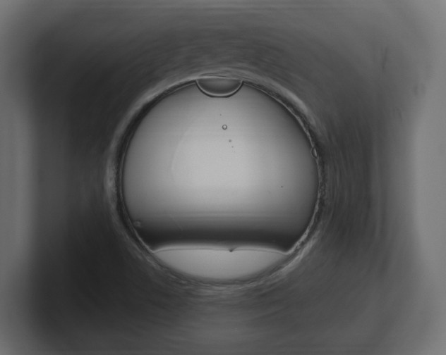 X0000101231506200806270934