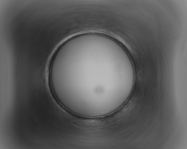 X0000101231508200806270934