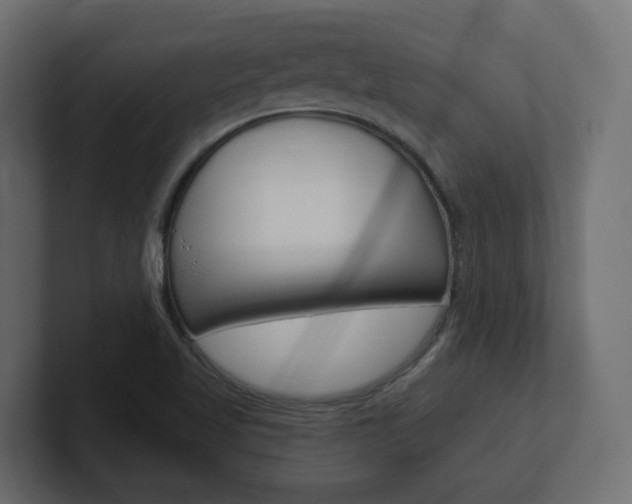 X0000101231509200806270934