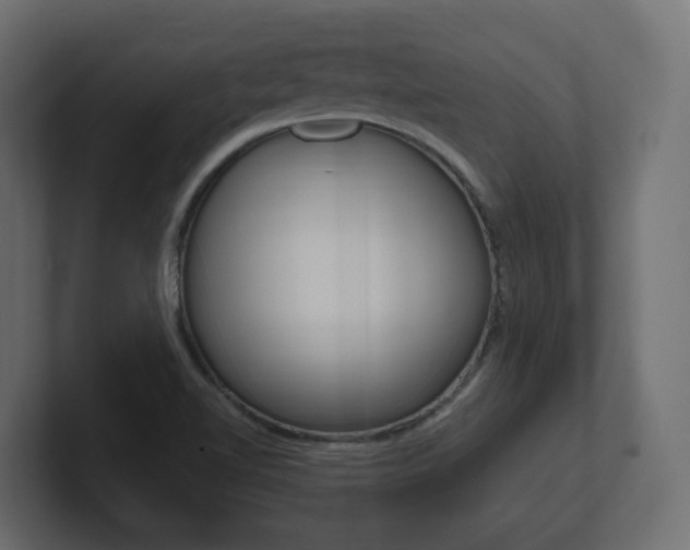 X0000101231510200806270934