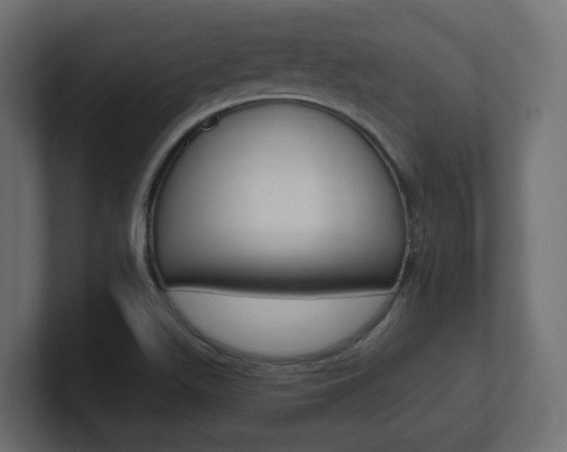X0000101231511200806270934