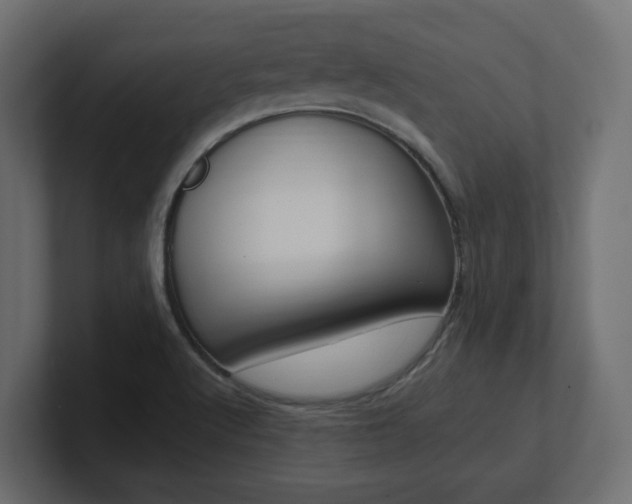X0000101231512200806270934