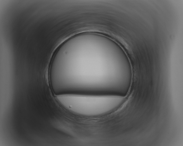X0000101231513200806270934