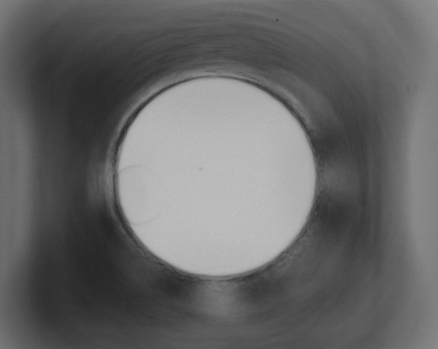 X0000101231514200806270934
