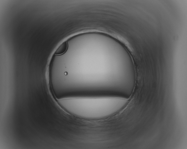 X0000101231516200806270935