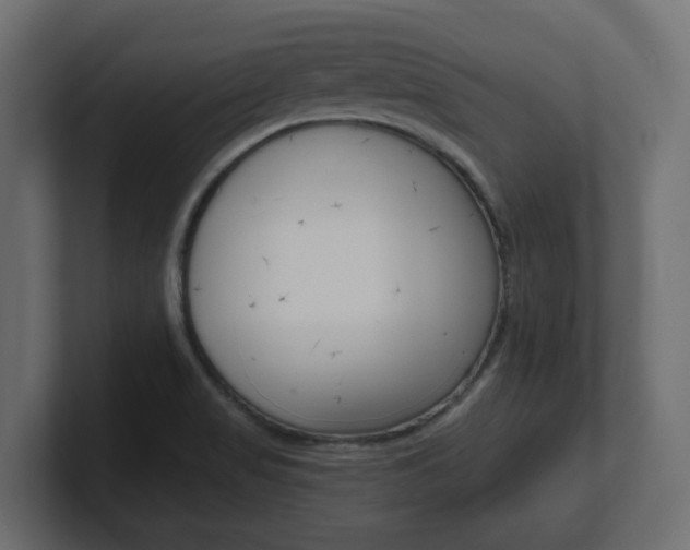 X0000101231517200806270935