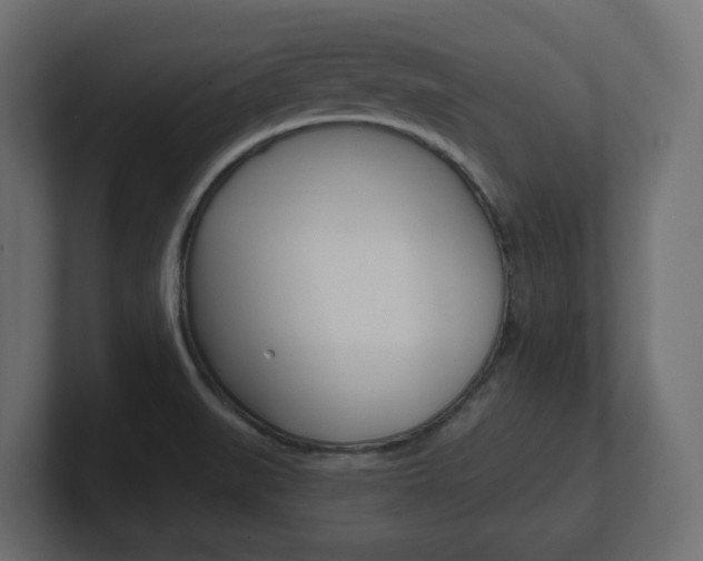 X0000101231519200806270935