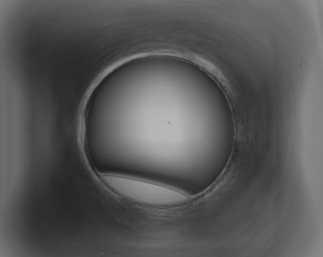 X0000101231520200806270935