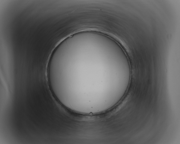 X0000101231521200806270935