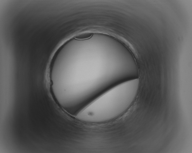 X0000101231522200806270935