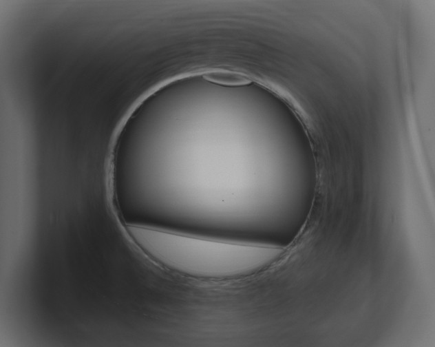 X0000101231524200806270935