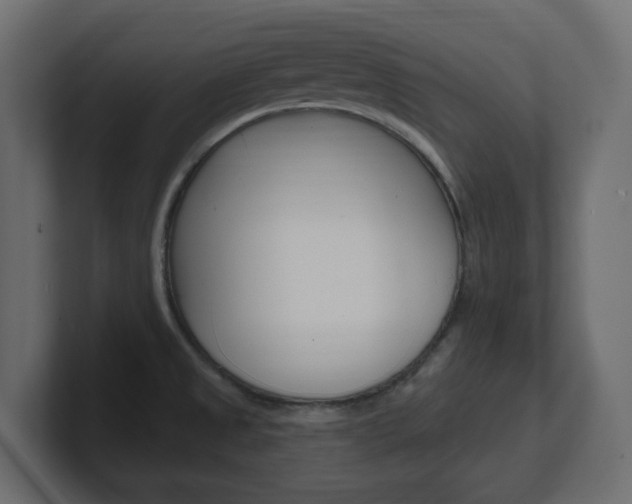 X0000101231525200806270935