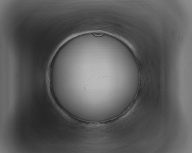 X0000101231526200806270935