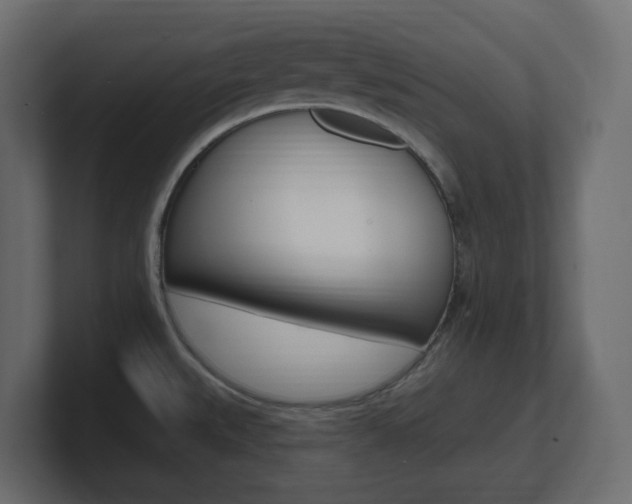 X0000101231527200806270935