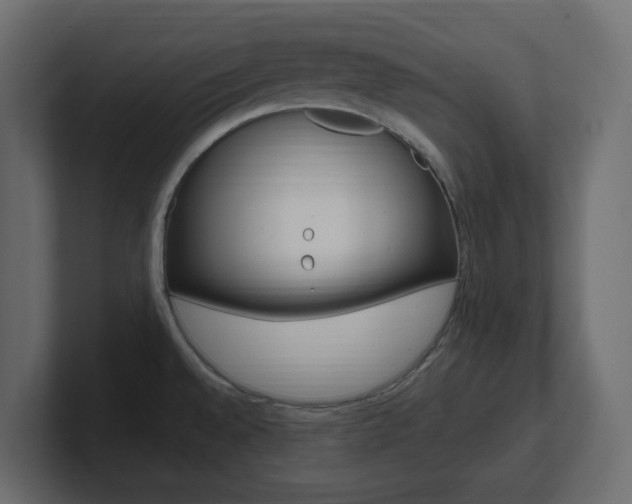 X0000101231528200806270935