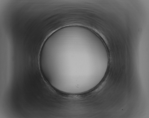 X0000101231529200806270935