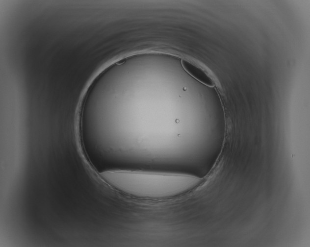 X0000101231530200806270935