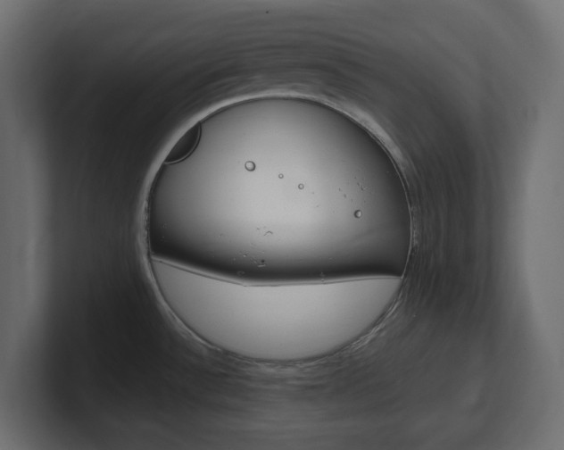 X0000101231532200806270935
