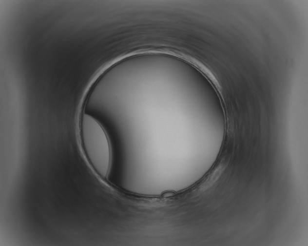 X0000101231533200806270935